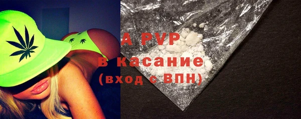 PSILOCYBIN Богородицк