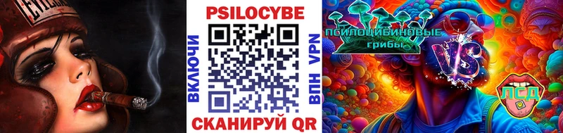 где купить   Оха  Галлюциногенные грибы мухоморы 